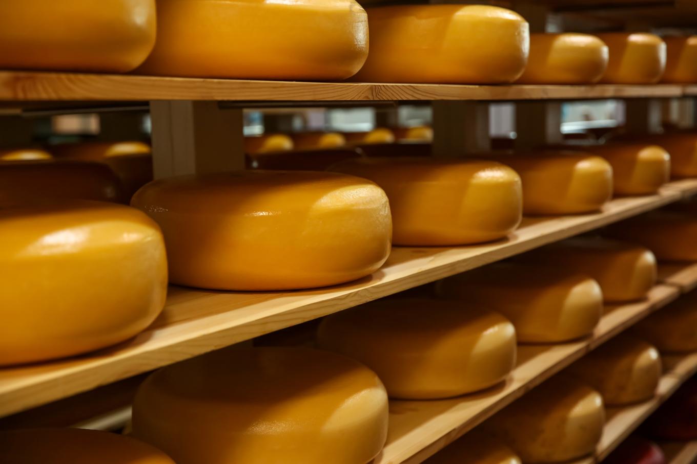 Cheese storage